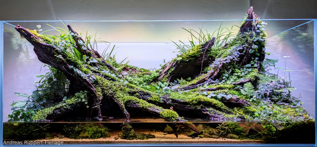 Fountain of Life, third place in the 2025 AGA paludarium category by Andreas Ruppert-Flerlage: a wide land-water layout with driftwood and flowing streams.