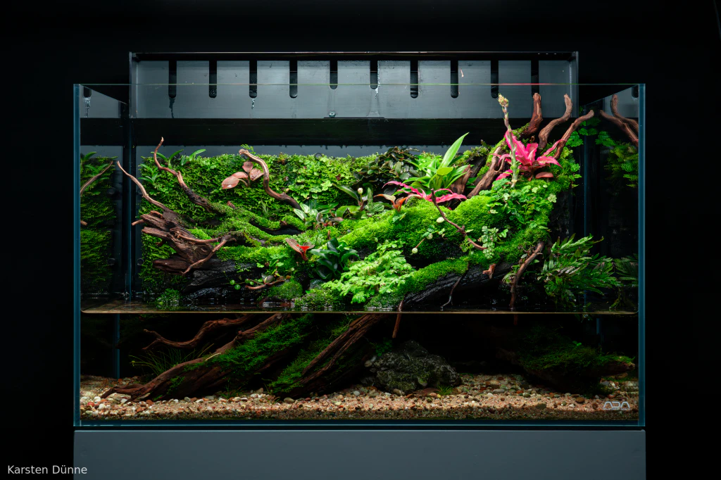 Koke No Yume, first place in the 2025 AGA paludarium category by Karsten Dünne: moss-covered driftwood and stone against a black background.