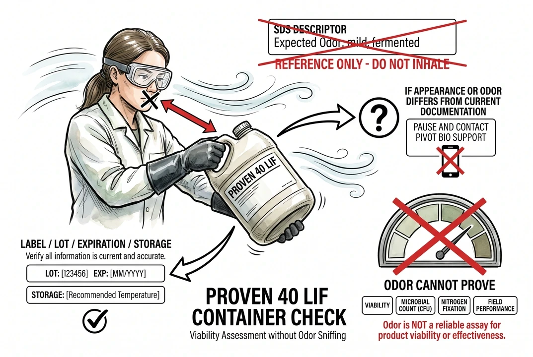 Person smelling an opened container of liquid inoculant as a quick check for abnormal odor.