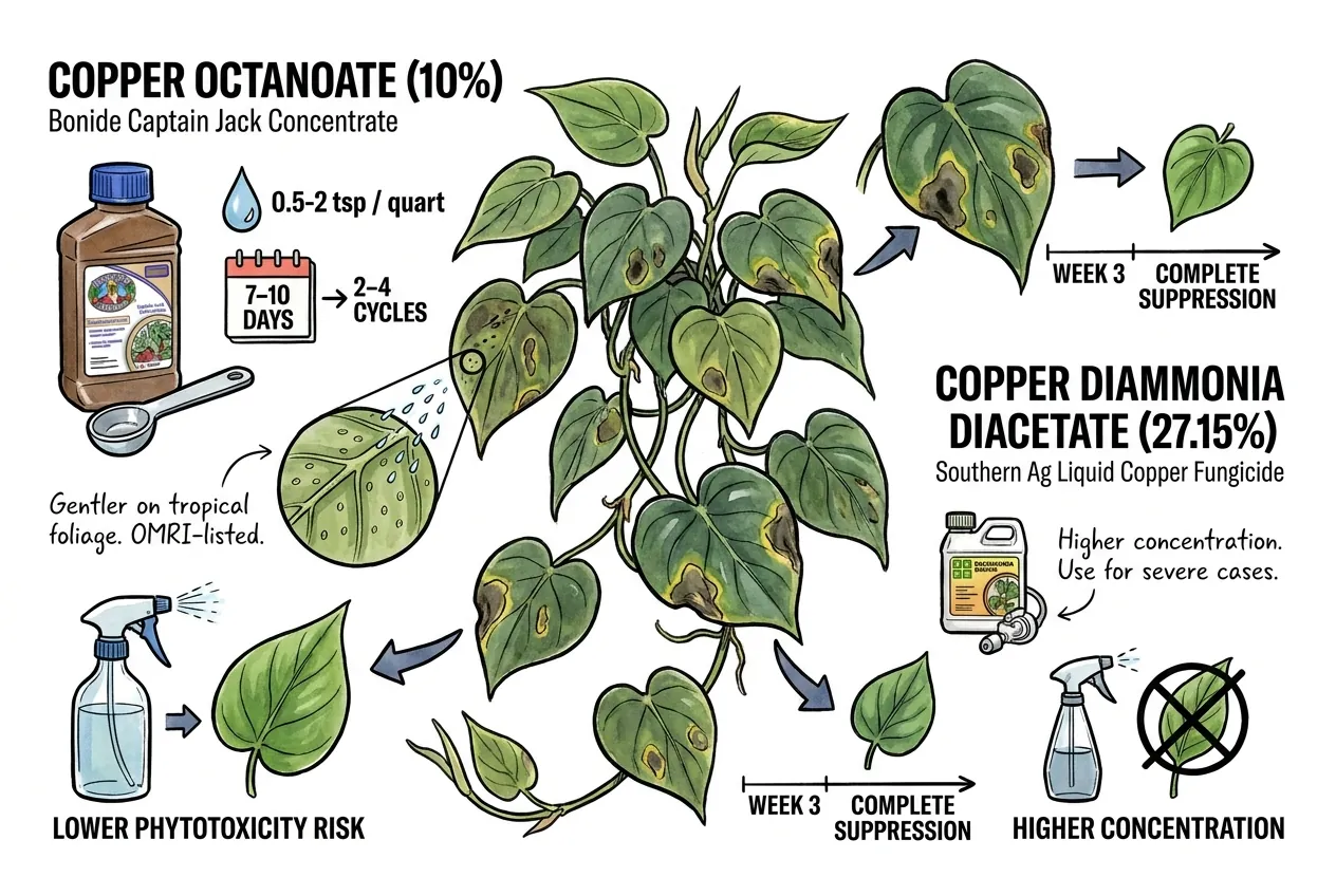 Copper fungicide concentrate bottle beside a spray bottle and philodendron