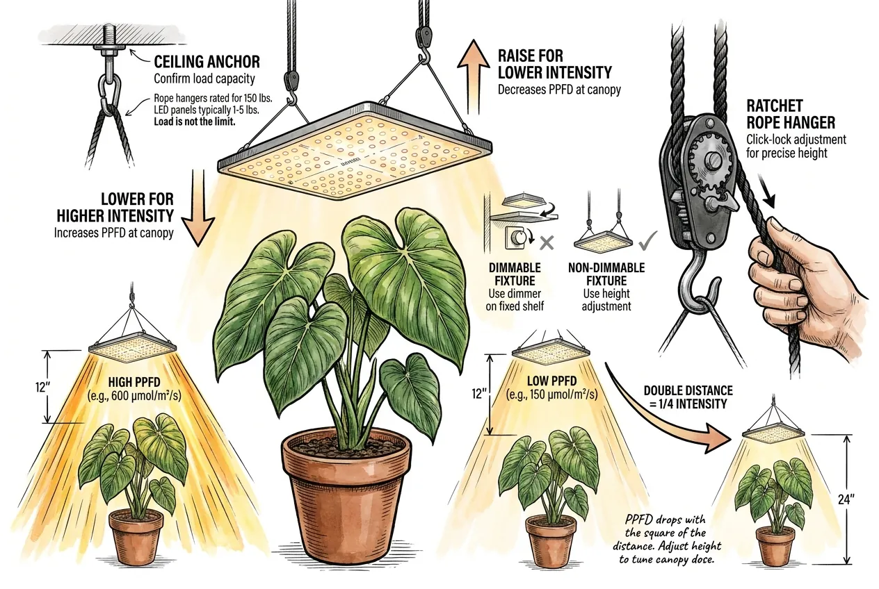 Ratchet rope hangers raising and lowering a grow light to adjust canopy PPFD