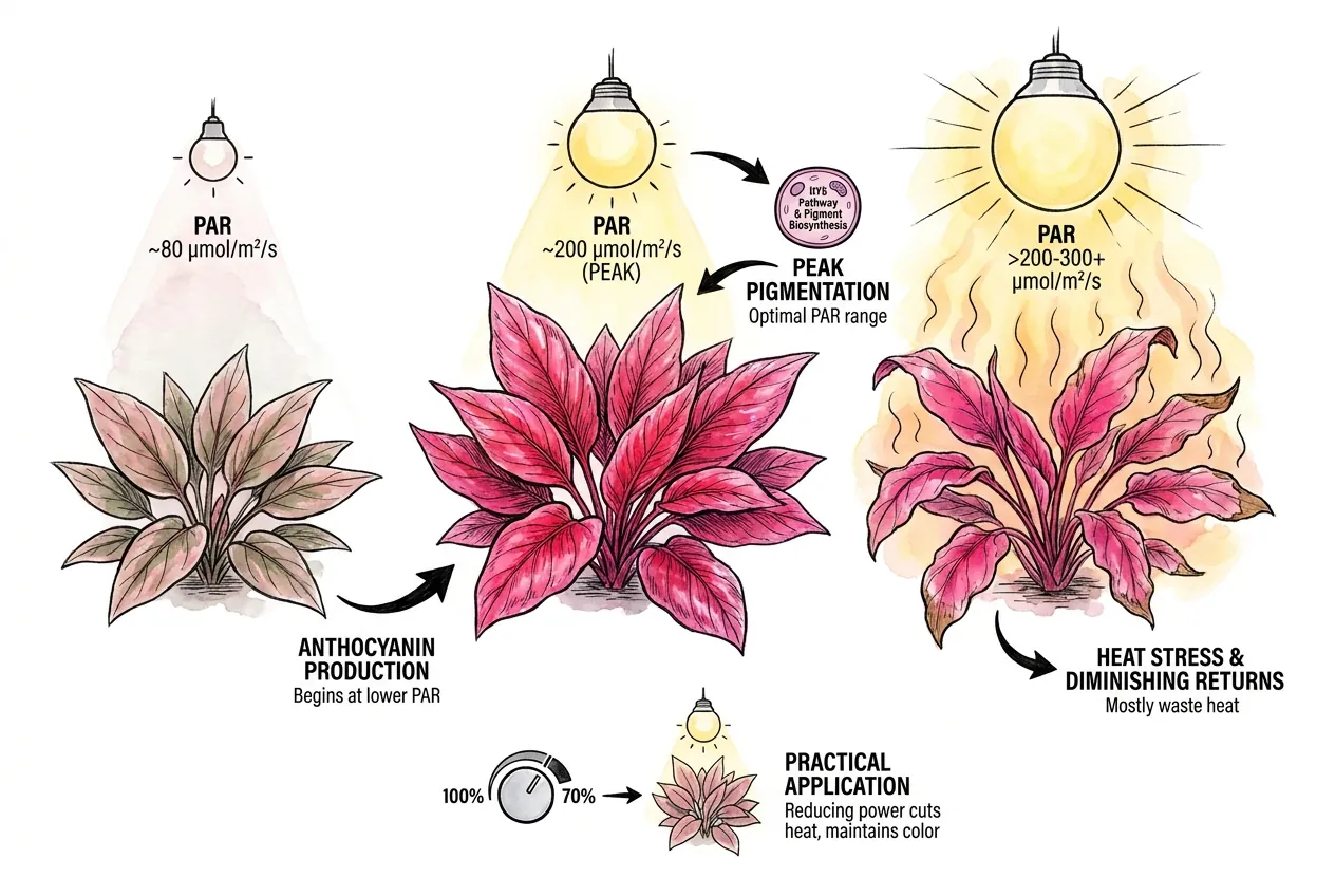 Light intensity meter at substrate level under a planted-tank LED